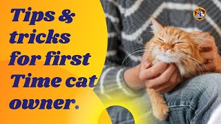 Best Tips and tricks for first Time cat owner. should to know cat 🙀 Owners.