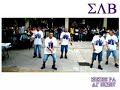 TALLAHASSEE BETA STEP FALL 06