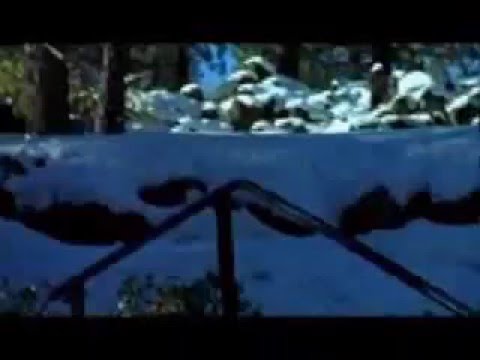 Skiing Extreme
