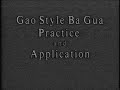Gao Style Bagua-Practice and Application
