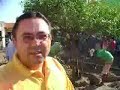 Prefeito manda derrubar árvore e revolta população Prefeito manda derrubar árvore e revolta população