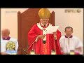 Misa papal de Benedicto XVI en Lourdes. Misa papal de Benedicto XVI en Lourdes.