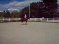old video of me and atlantis before we owned him :)