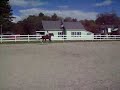 old video of me and atlantis before we owned him :)