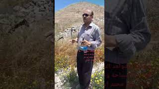 تل دوتان الحفيرة...جنين