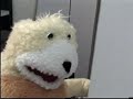 levis-feat-mroizo.html