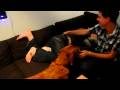 videos de Corey's Gets Fresh & Easy