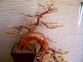 Bonsai Tree Sculpture #26 by Jim Shull