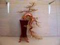 Bonsai Tree Sculpture #26 by Jim Shull