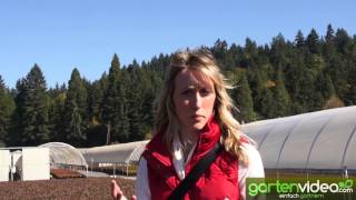 #889 Heidelbeerproduktion bei Fall Creek Nursery - Amelie Brazelton Aust im Interview