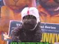 Warren-The-Ape-Demon