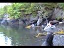 Red Salmon in Main Bay
