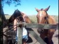 Paz-y-el-Campo