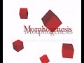 Morphogenesis: Shaping Swarms of Intelligent Robots