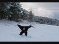 Kempo Karate Chines 