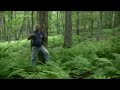 Proper spacing of trees in the forest Proper spacing of trees in the forest