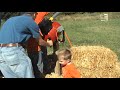 Corn Shooter gun