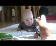 videos de op het kleed met koetje