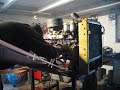 First Start of Leyland Engine 4/98 First Start of Leyland Engine 4/98