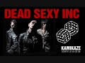 http://blevanaks.skyrock.com/

dead sexy inc est un groupe fran�ais, sur l'album kamikaze, leur second, nicola sirkis interpr�te en duo les morceaux 