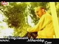 siavash toloo siavash toloo
