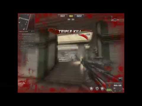 [PB] Point Blank Blacktemplar AK VIDEO
