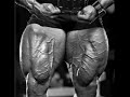 ...The LARGEST legs of the WORLD...