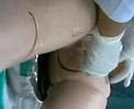 Urinary Catherization Urinary Catherization