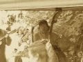 Hot Day At The Zoo - I Saw Her Standing There