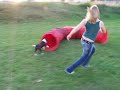 agility entrainement 27 aout PARCOURS