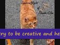 warrior cats couple contest