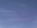 Bieda