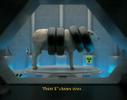 sheep sheep