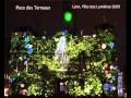 Fête Des Lumières, Lyon 2009