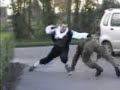 Vogelwaarde De schakel verkeersproblemen