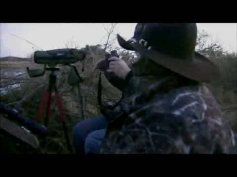 hunting trophy texas deer with