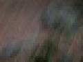 videos de THE CORNBOY!
