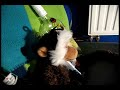[Runescape] Bob IRL (#1)