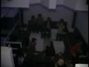 Programa Link - Novas opções da Noite Programa Link - Novas opções da Noite