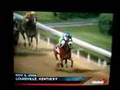 Barbaro... A True Racehorse.....