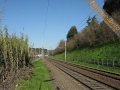 E.483.008 NC a Fidene