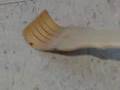 Apartment Infested with Bed Bugs