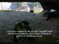 Halo: Into the Wild