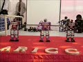 humanoid robot, biped robot, educational, entertainment, dancing robot