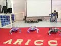 humanoid robot, biped robot, educational, entertainment, dancing robot