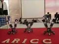 humanoid robot, biped robot, educational, entertainment, dancing robot