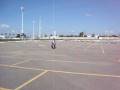 sportster xl 883 practicas