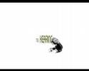 hearing damage(motiongraphic)