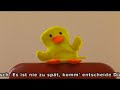 Nur Dumme dämmen nicht