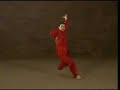 Baguazhang Champion 1990